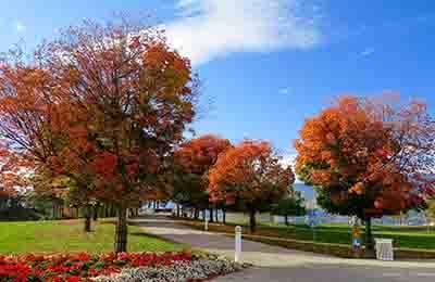 幼兒園環(huán)境創(chuàng)設(shè)論文