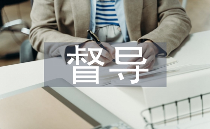 公共衛(wèi)生督導(dǎo)整改報告