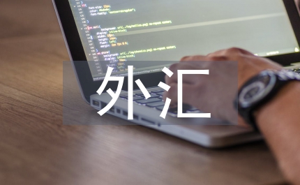 外匯監(jiān)管論文