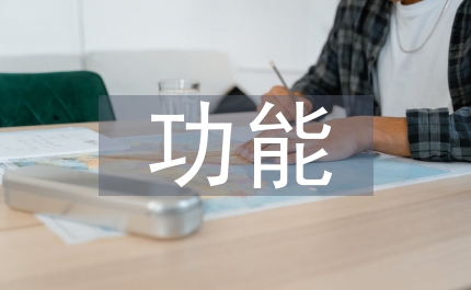 村級班子整體功能實踐